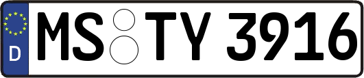 MS-TY3916