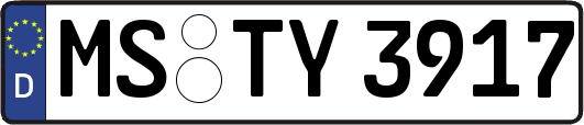 MS-TY3917