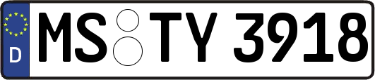 MS-TY3918