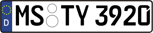 MS-TY3920