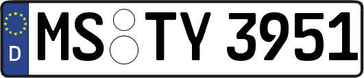 MS-TY3951