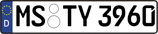 MS-TY3960