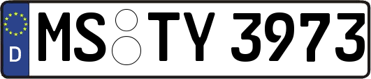 MS-TY3973