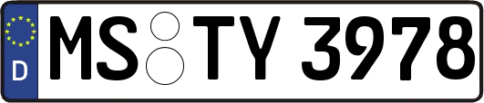 MS-TY3978