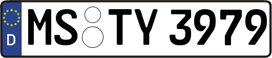 MS-TY3979