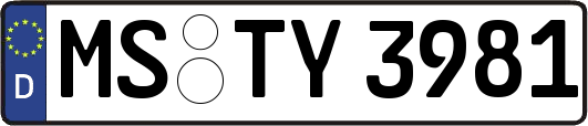 MS-TY3981