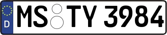 MS-TY3984