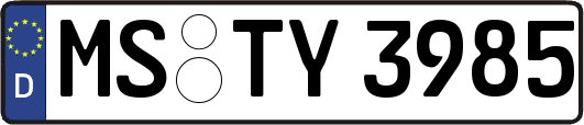 MS-TY3985