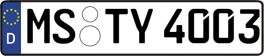 MS-TY4003