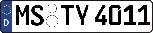 MS-TY4011