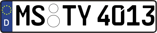 MS-TY4013