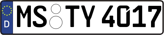 MS-TY4017