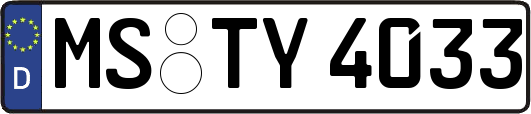 MS-TY4033