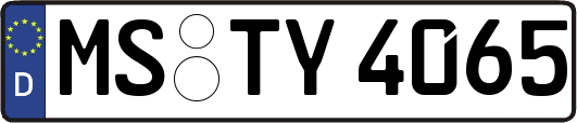 MS-TY4065