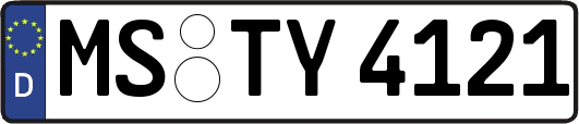 MS-TY4121