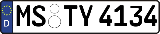 MS-TY4134
