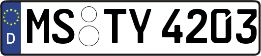MS-TY4203