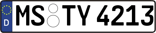 MS-TY4213