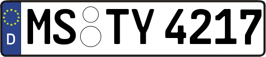 MS-TY4217
