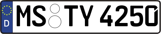MS-TY4250