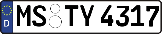 MS-TY4317