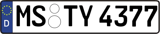 MS-TY4377