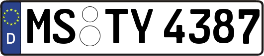 MS-TY4387