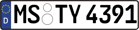 MS-TY4391