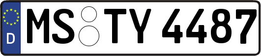 MS-TY4487