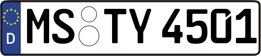 MS-TY4501