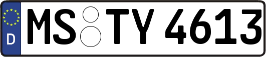 MS-TY4613