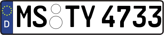 MS-TY4733