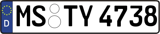 MS-TY4738
