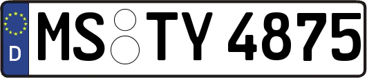 MS-TY4875