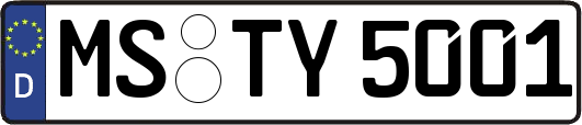 MS-TY5001