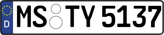 MS-TY5137