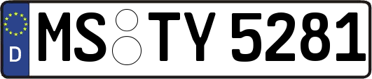 MS-TY5281
