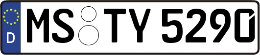 MS-TY5290