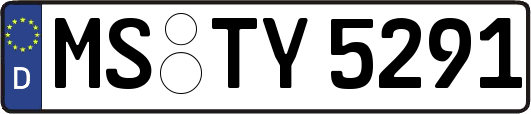 MS-TY5291