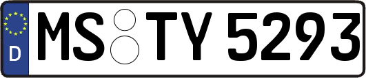 MS-TY5293
