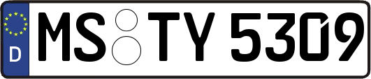MS-TY5309