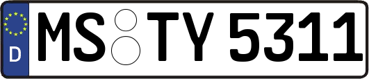 MS-TY5311