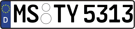 MS-TY5313
