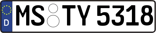 MS-TY5318