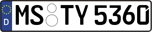 MS-TY5360
