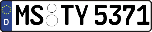 MS-TY5371