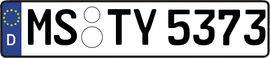 MS-TY5373