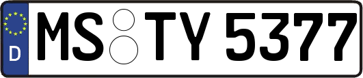 MS-TY5377