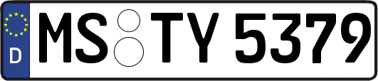 MS-TY5379