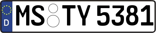 MS-TY5381